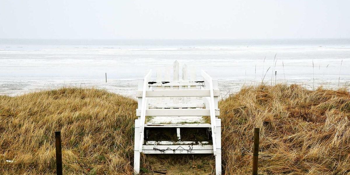 Karpatka Cake: Authentic Recipe