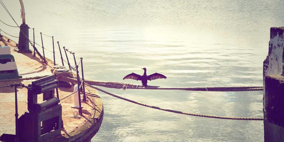 Unique Cake Flavors: Recipe Ideas