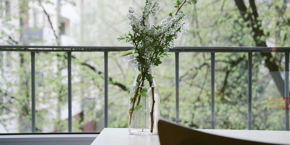 Easy Halloween Chocolate Cake Recipe