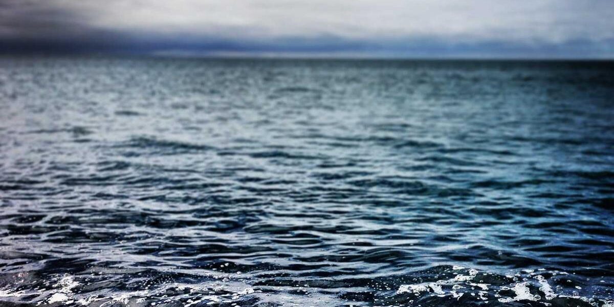 Homemade Strawberry Pudding Recipe