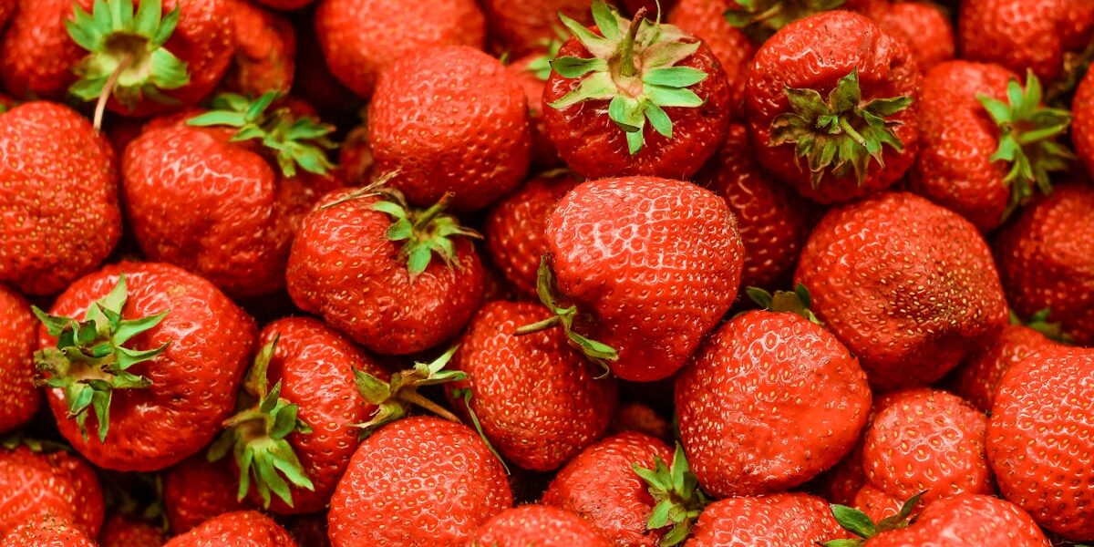 Homemade Strawberry Pudding Recipe