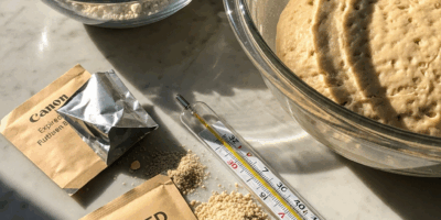 Why Your Bread Dough Is Not Rising Properly